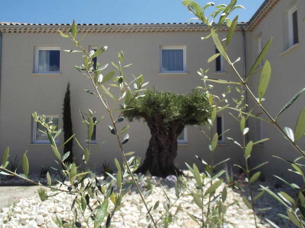 Le Domaine Des Oliviers Ξενοδοχείο Pierrelatte Εξωτερικό φωτογραφία